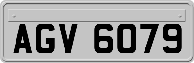 AGV6079