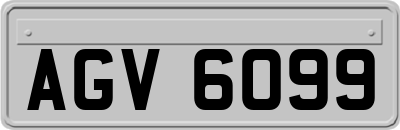 AGV6099