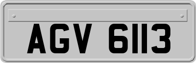 AGV6113