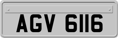 AGV6116