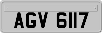 AGV6117