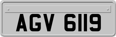 AGV6119
