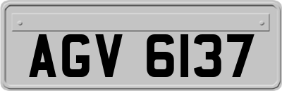 AGV6137