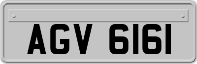 AGV6161