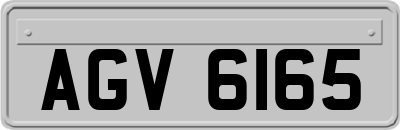 AGV6165