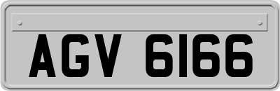 AGV6166