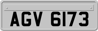 AGV6173
