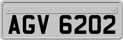 AGV6202