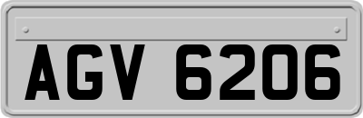 AGV6206