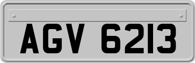 AGV6213
