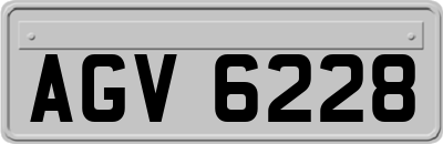 AGV6228