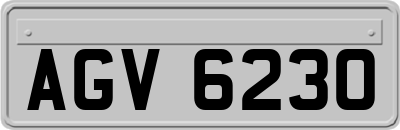 AGV6230