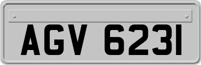 AGV6231