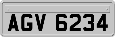 AGV6234