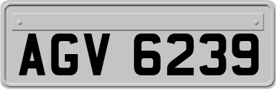 AGV6239