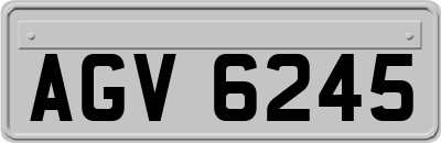 AGV6245