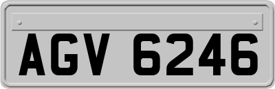 AGV6246