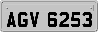 AGV6253
