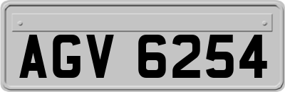 AGV6254