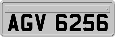AGV6256
