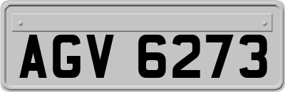 AGV6273