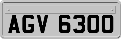 AGV6300
