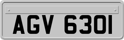 AGV6301