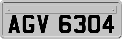 AGV6304