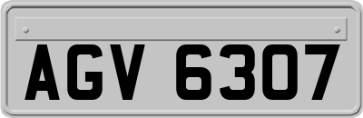 AGV6307