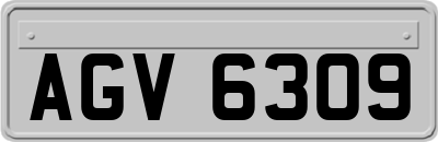 AGV6309