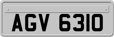 AGV6310