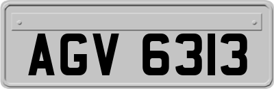 AGV6313