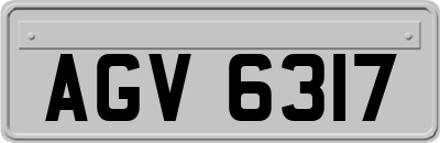 AGV6317
