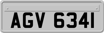 AGV6341