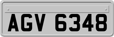 AGV6348