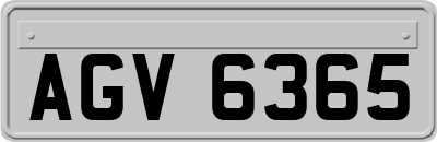 AGV6365