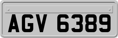 AGV6389