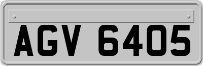 AGV6405