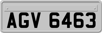 AGV6463