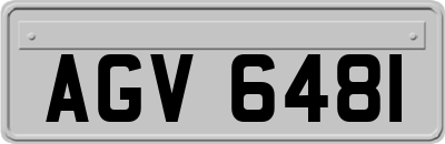AGV6481