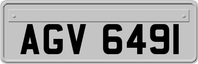 AGV6491