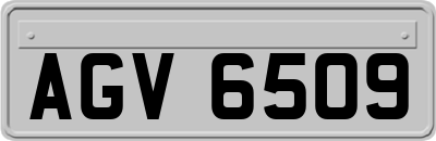 AGV6509