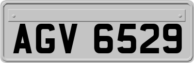 AGV6529