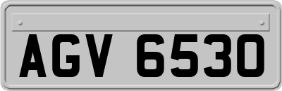 AGV6530
