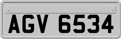 AGV6534