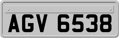 AGV6538