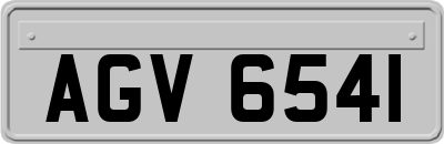 AGV6541
