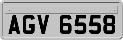 AGV6558