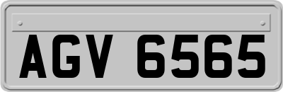 AGV6565