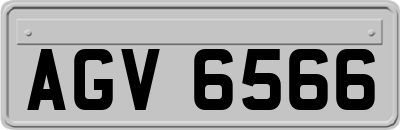AGV6566